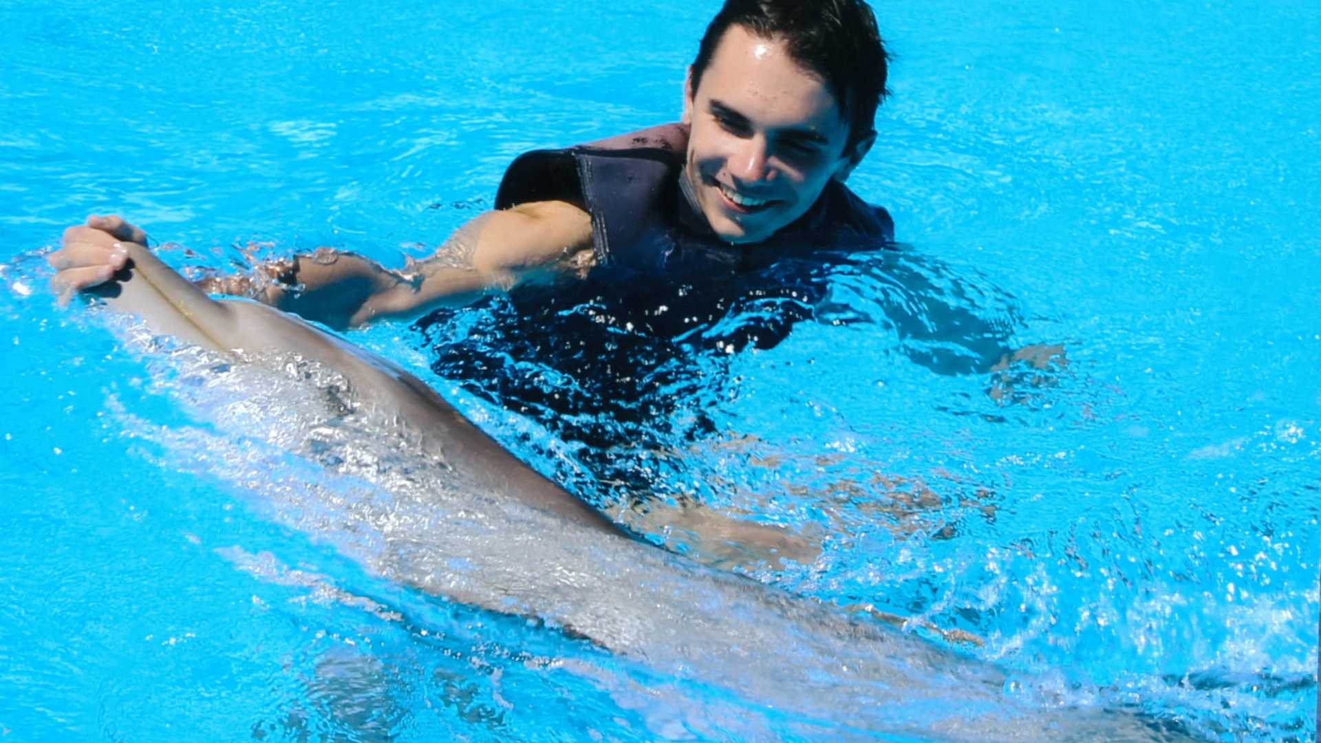 Swimming with Dolphins